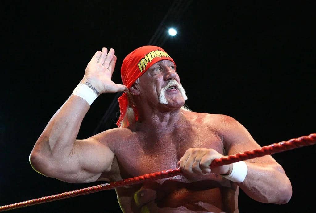 Hulk Hogan 3.jpg