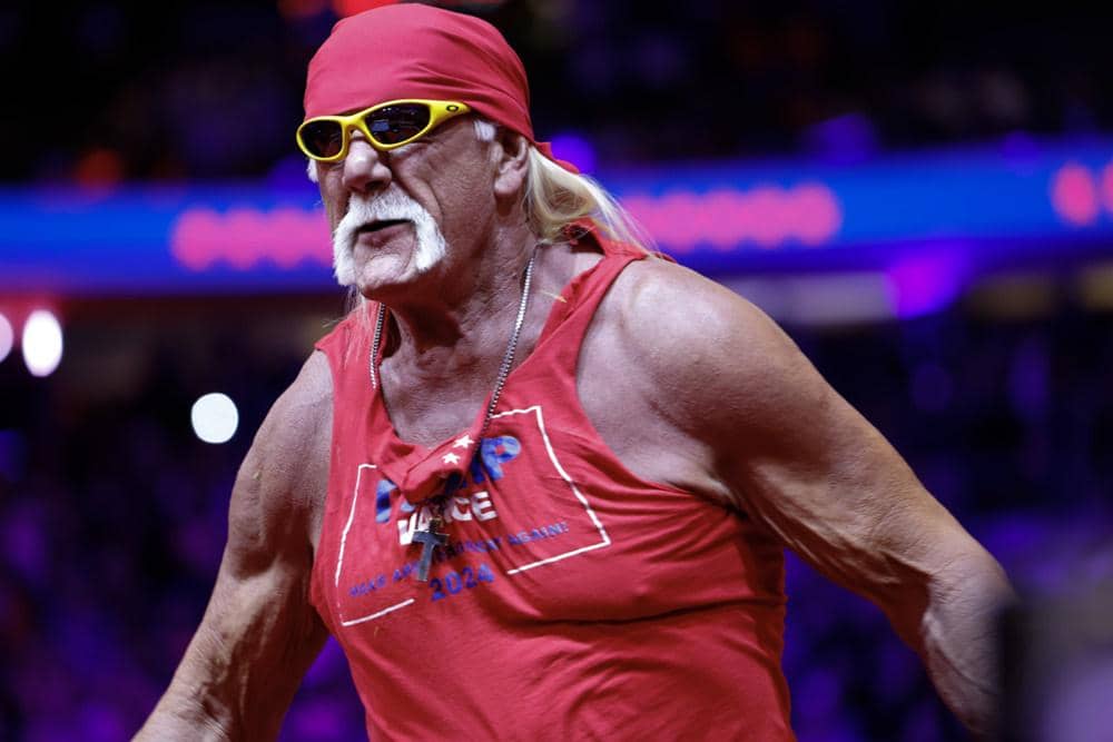 Hulk Hogan 4.jpg