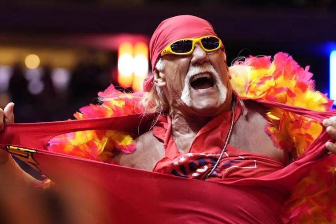 Hulk Hogan 1.jpg