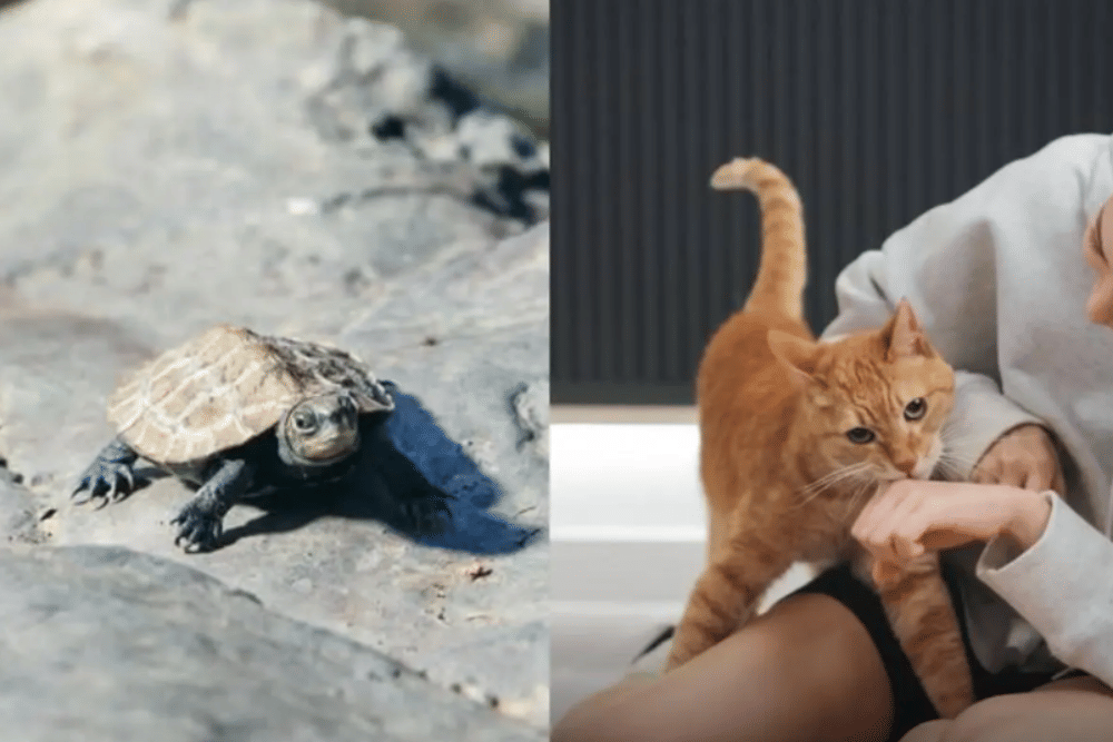 Screenshot 2025-07-28 164048.png