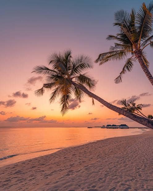 Aktivitas seru di Maldives