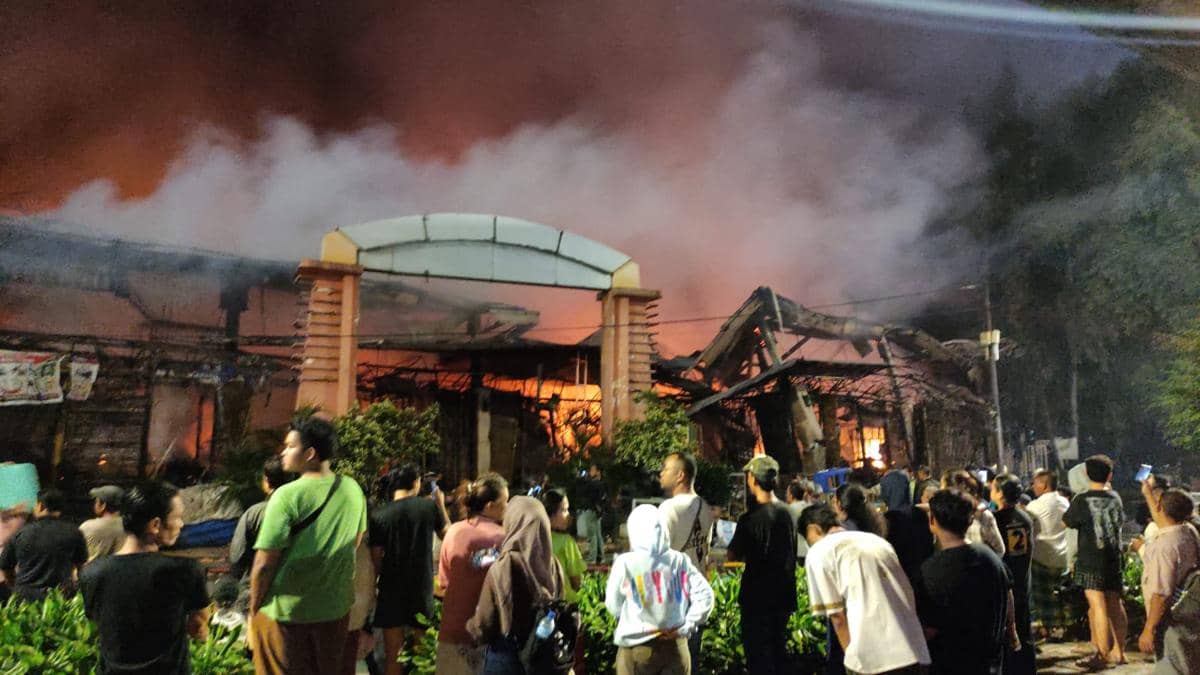 WhatsApp Image 2025-07-28 at 19.46.38.jpeg