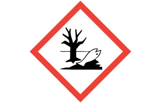 Salinan dari BEFORE_20250807_114845_0002.png