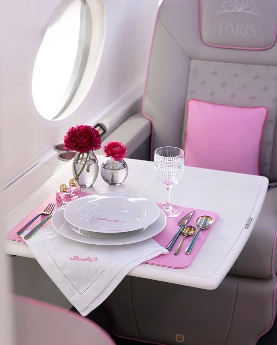 Kursi khusus Paris Hilton di dalam jet pribadinya, Sliv Air. (instagram.com/luxury)