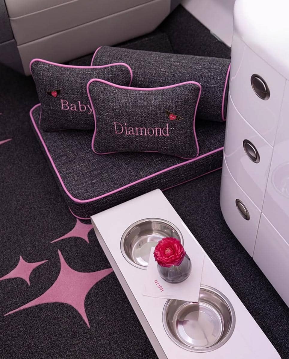 Tempat tidur pribadi anjing peliharaan Paris Hilton yang bernama Diamond Baby di jet pribadinya, Sliv Air. (instagram.com/luxury)