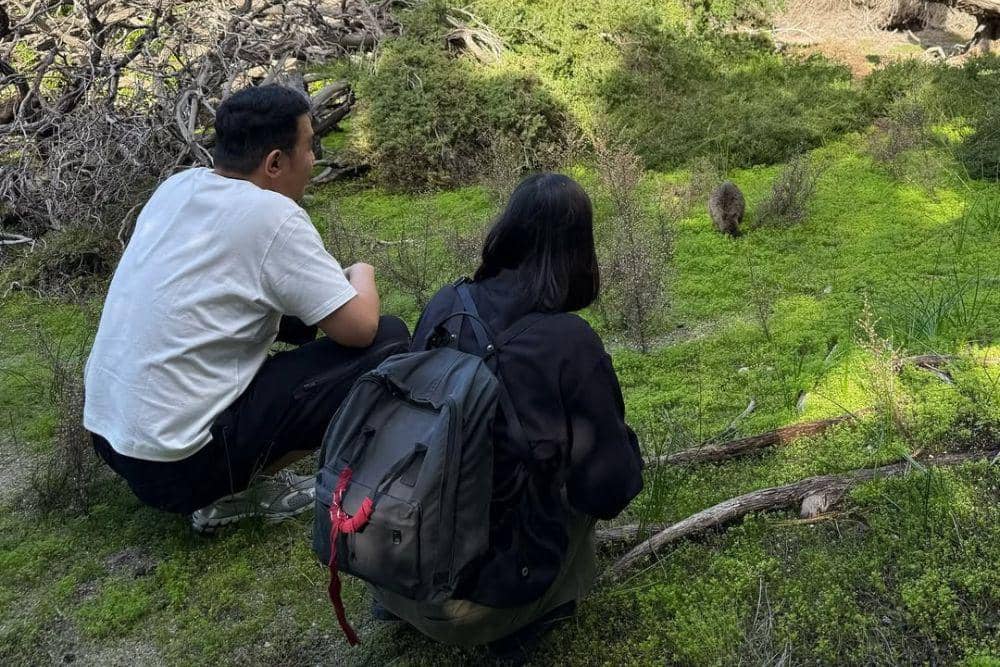 Fakta Hubungan Tulus dan Dere