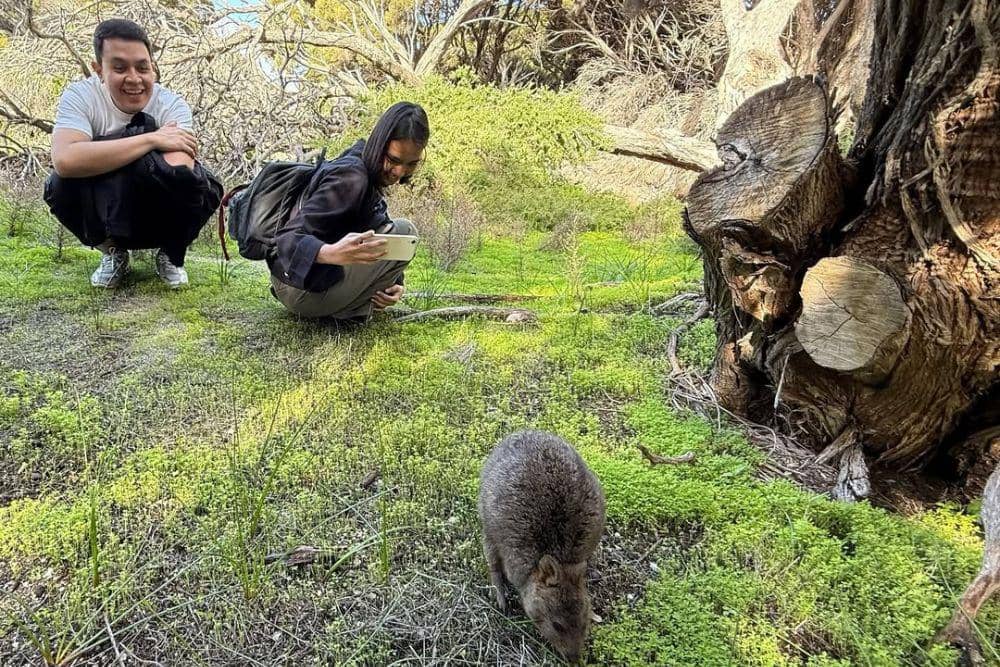 Fakta Hubungan Tulus dan Dere