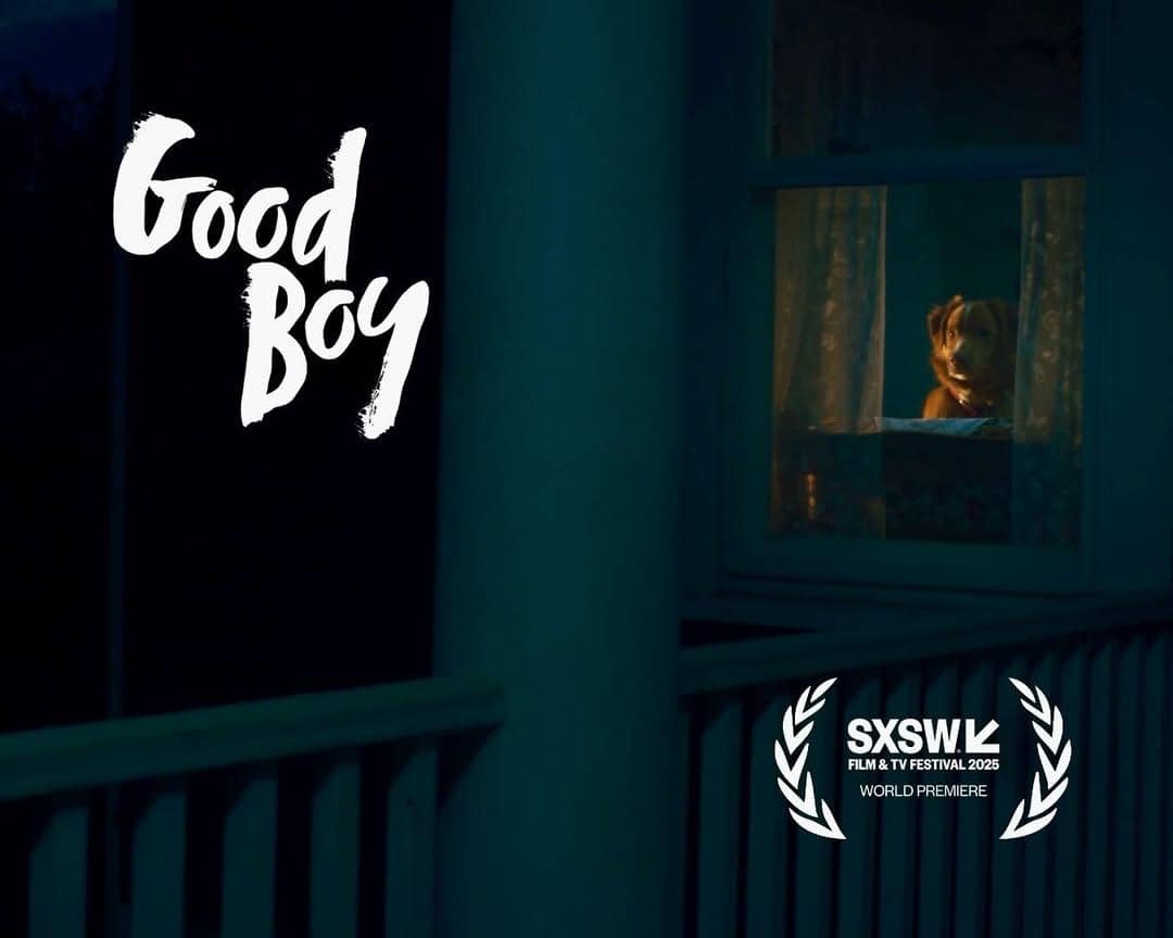 sinopsis film Good Boy