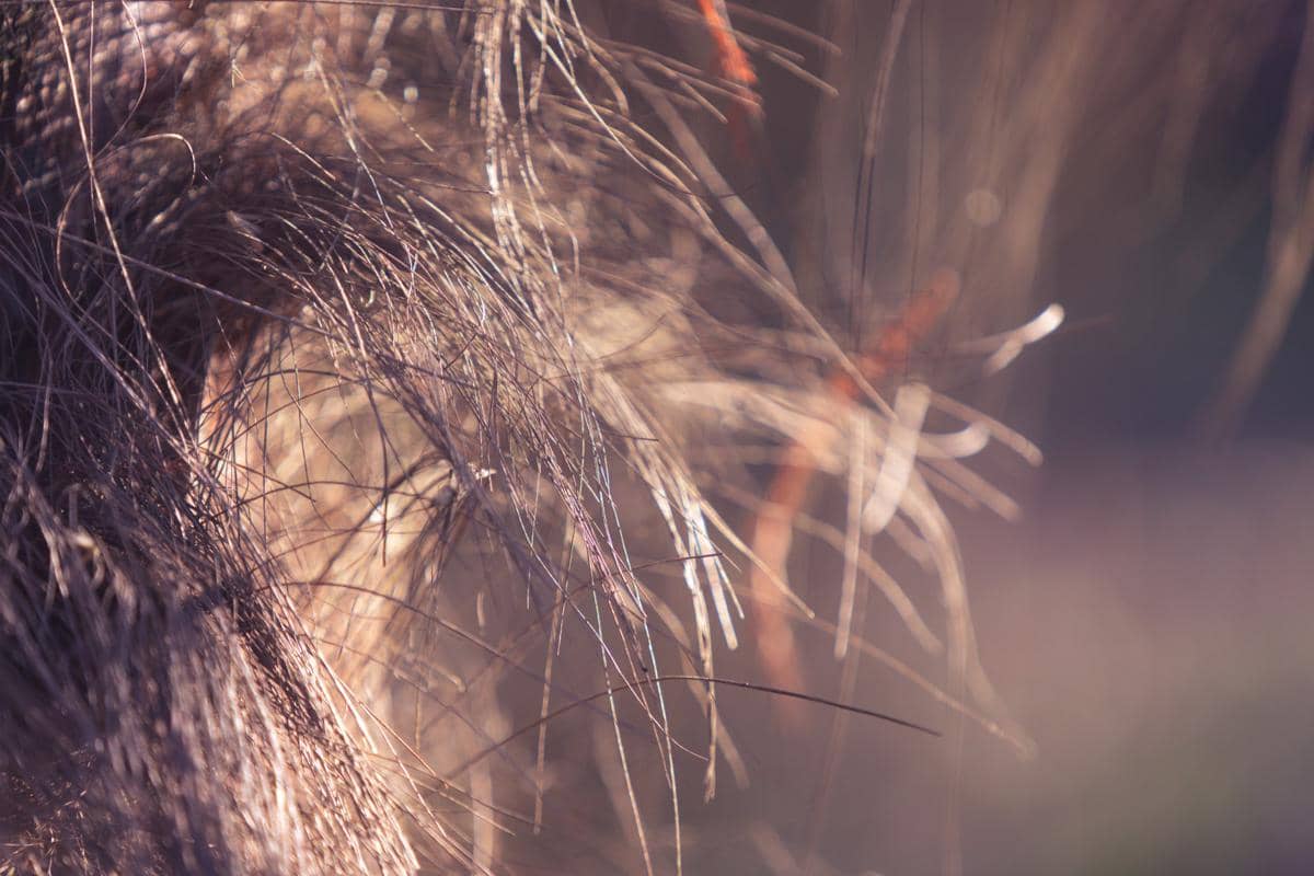 10 Cara Mengatasi Rambut Bercabang, Kembali Sehat!