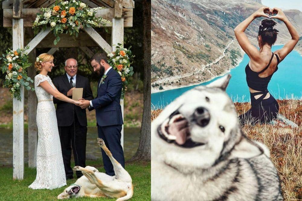 Untitled design (65).jpg