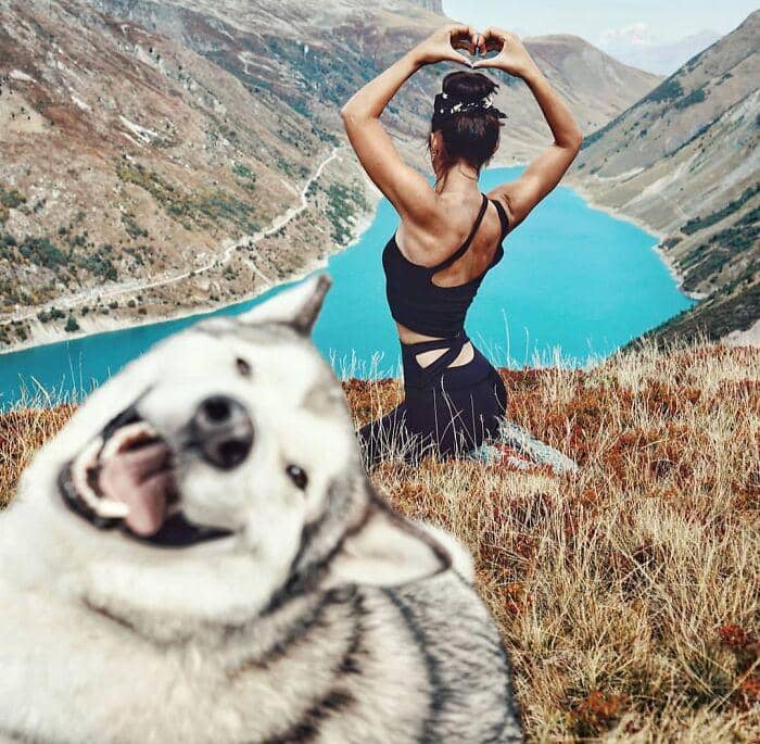 68a480ba5303e_funny-pets-photobombs__700.jpg