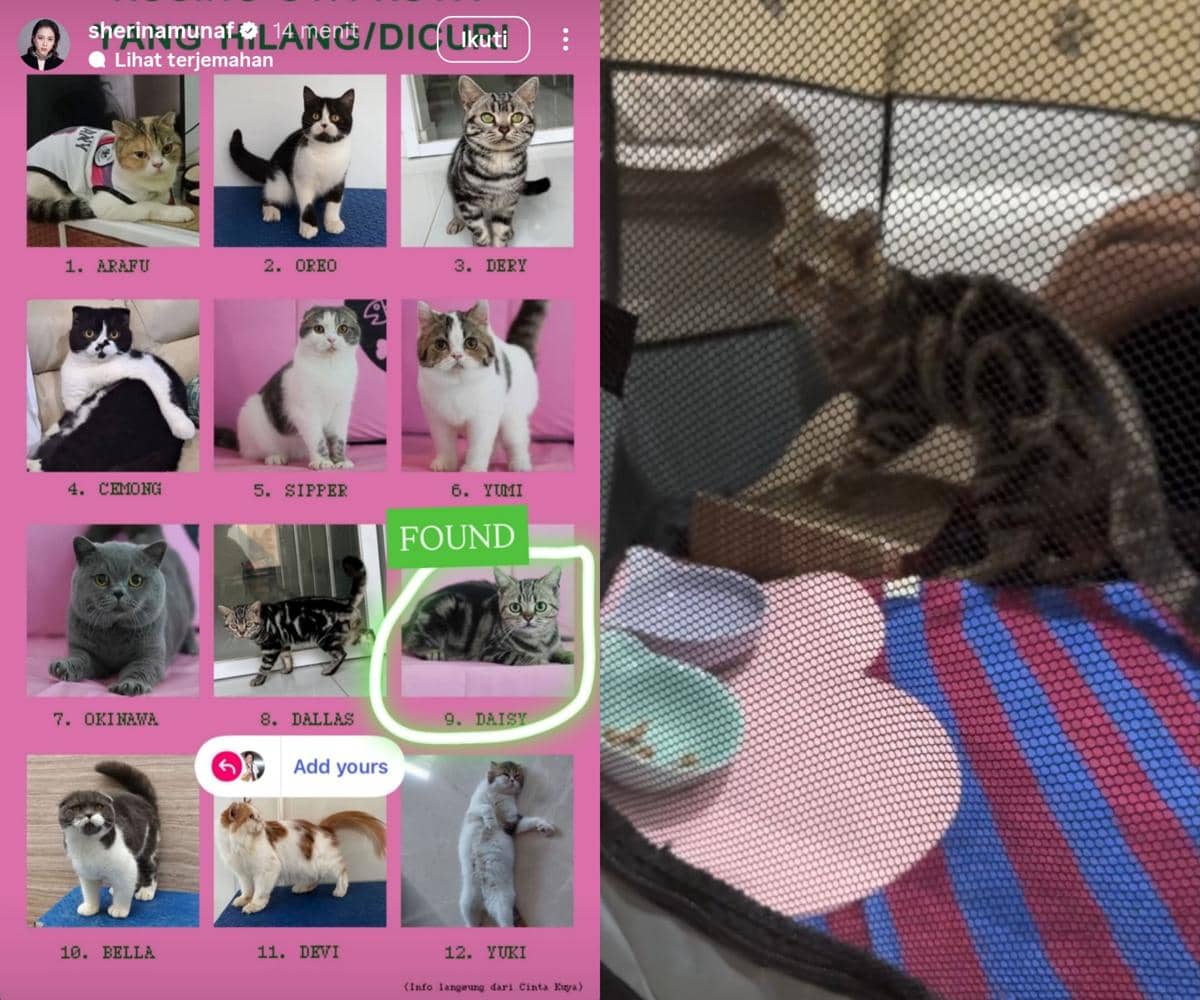 Sherina Munaf bagikan update tentang kucing Uya Kuya