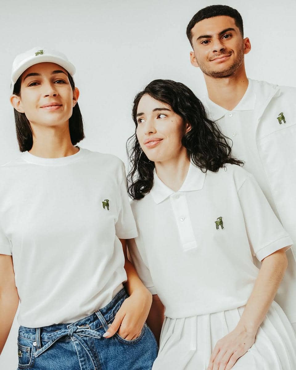 instagram.com:lacoste4.jpeg