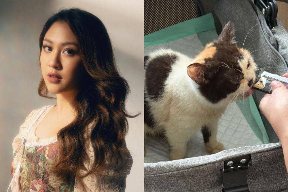 Sherina Munaf bagikan perkembangan kucing Uya Kuya yang ia selamatkan. (instagram.com, threads.com/sherinamunaf)