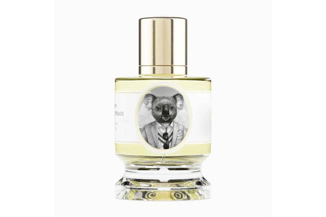 Potret Parfum Zoologist Koala