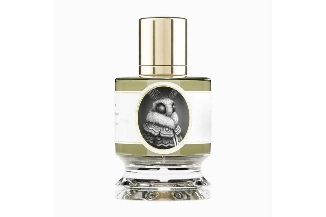 Potret Parfum Zoologist Moth