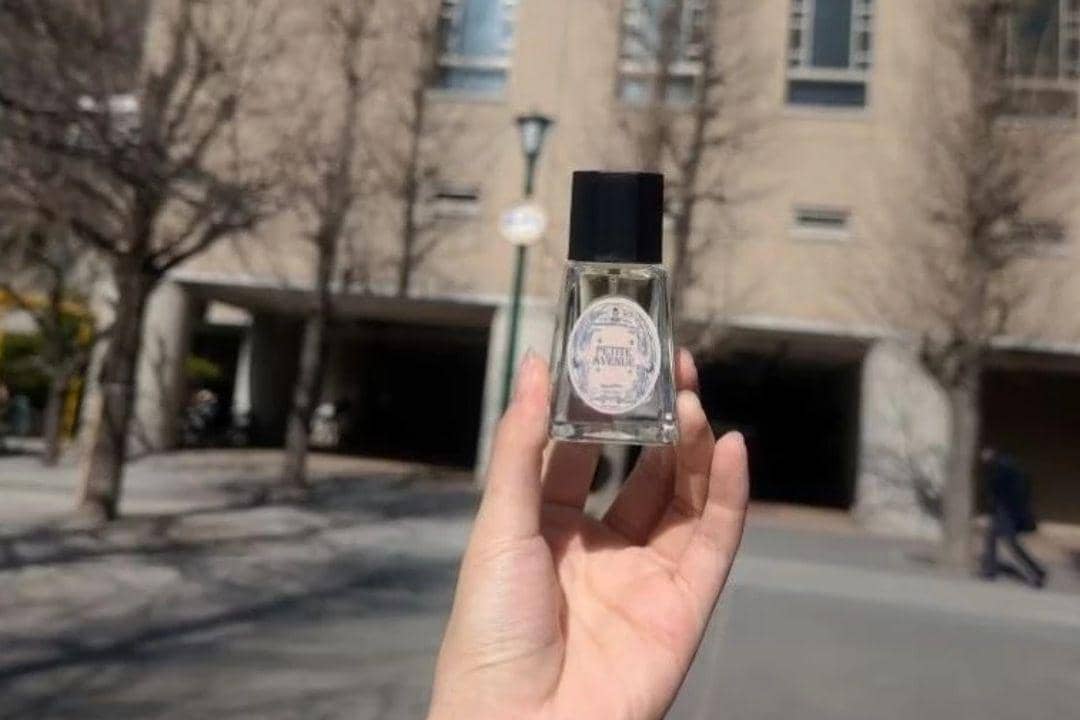 Potret Nevernot Petite Avenue