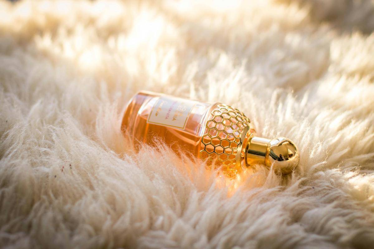 ilustrasi parfum wangi balsamic
