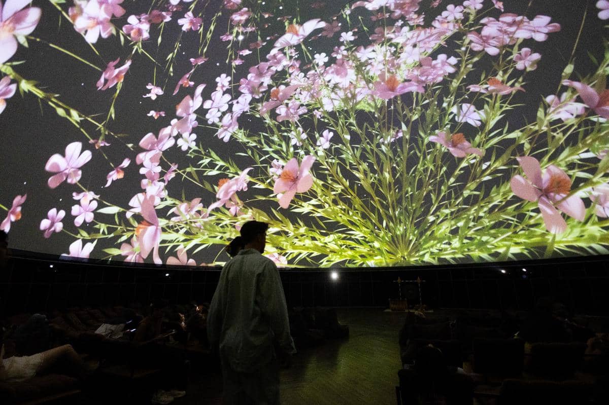 Art & Bali - Mei Tamazawa - Endless Bloom.jpg