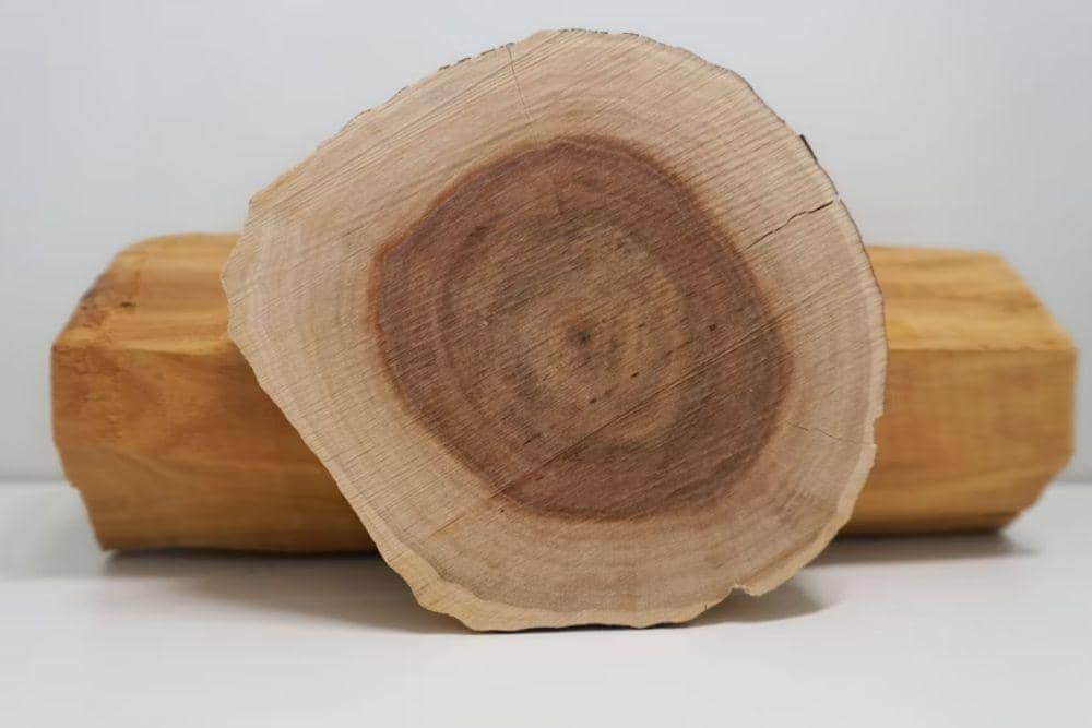 ilustrasi notes pendamping iso e super