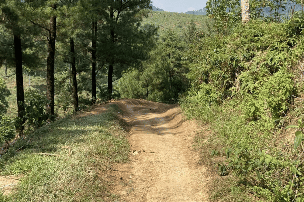 Screenshot 2025-09-29 at 19.29.04.png