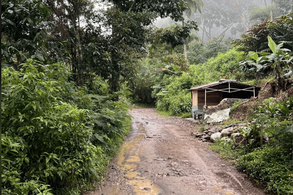 Screenshot 2025-09-29 at 19.25.32.png