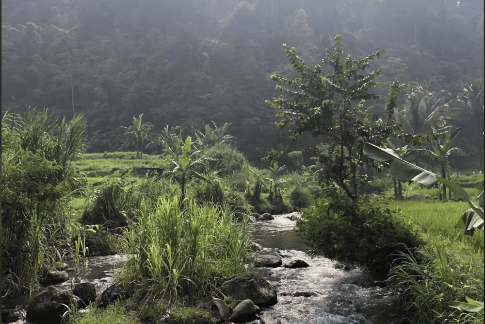 Screenshot 2025-09-29 at 19.21.13.png