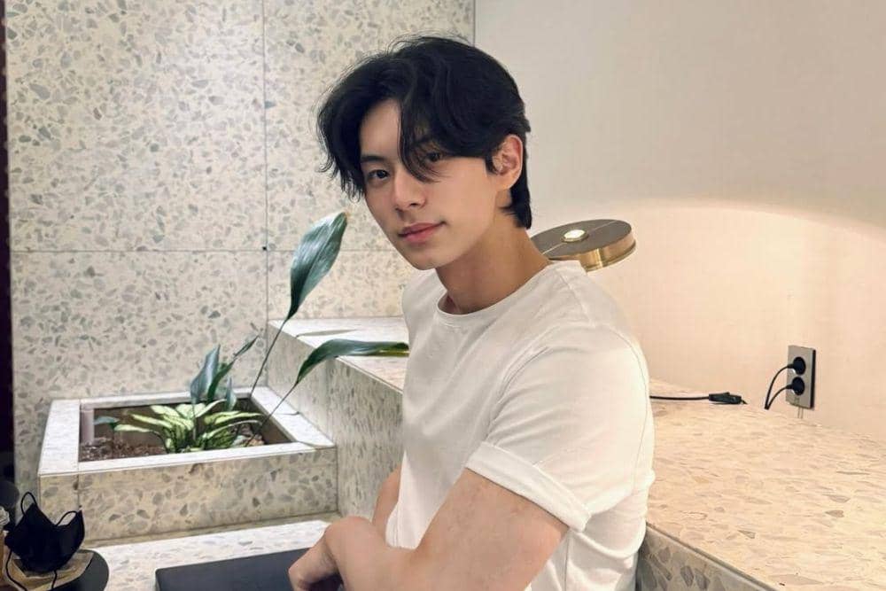 Perjalanan karier Lee Chae-min