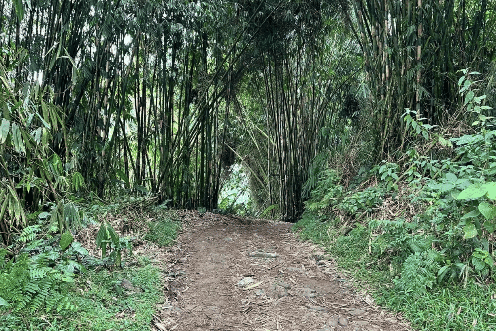 Screenshot 2025-09-29 at 19.47.51.png