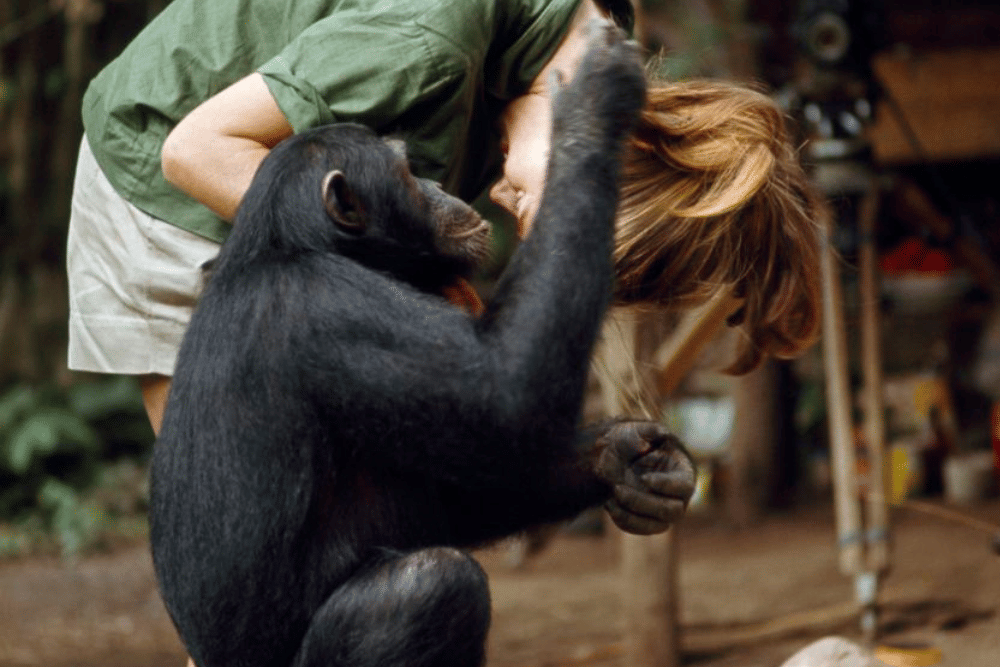 education.nationalgeographic.org