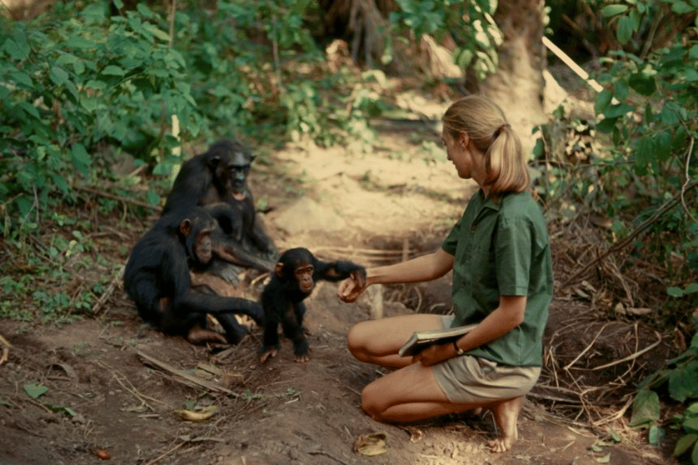 education.nationalgeographic.org