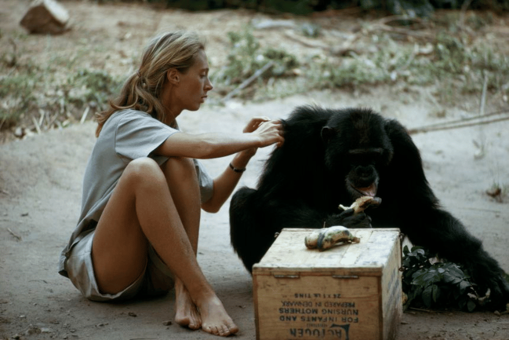 education.nationalgeographic.org