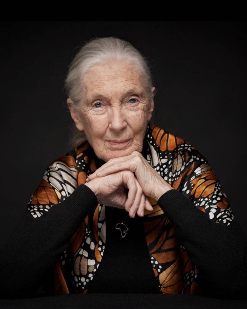 Jane Goodall, primatolog, antropolog, sekaligus konservasionis terkemuka asal Inggris. (instagram.com/janegoodallinst)