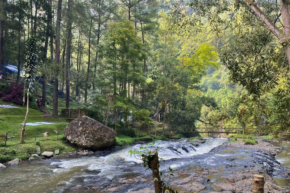 Taman Hutan Raya Ir. H. Juanda. (Foto: Pathien R via alltrails.com)