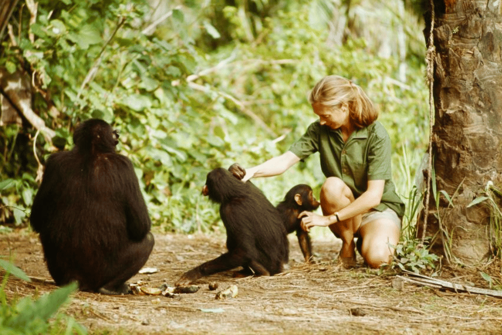 education.nationalgeographic.org