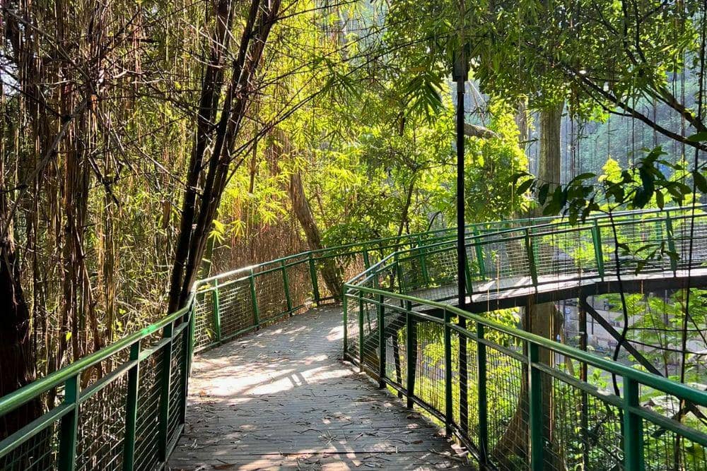 Taman Kota Babakan Siliwangi. (Foto: Freeyanti Inev via alltrails.com)