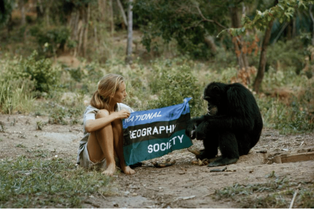 education.nationalgeographic.org