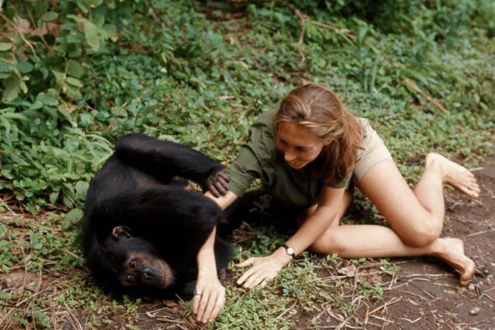 education.nationalgeographic.org