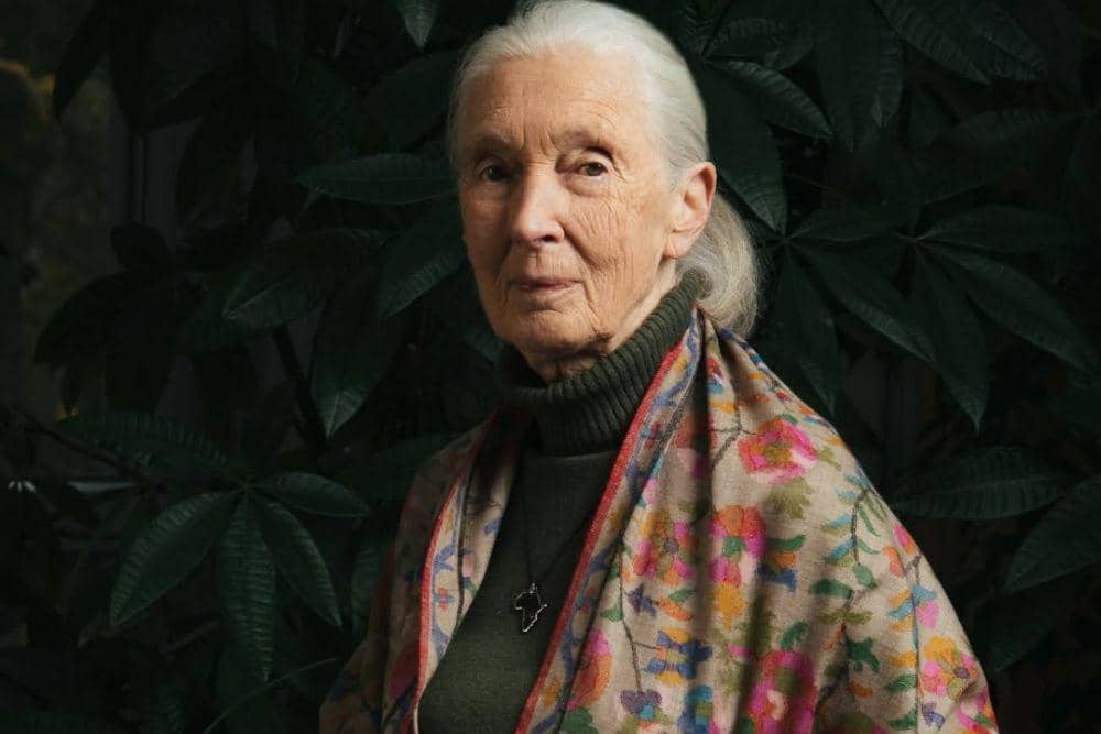 Jane Goodall primatolog, antropolog, sekaligus konservasionis terkemuka asal Inggris tutup usia