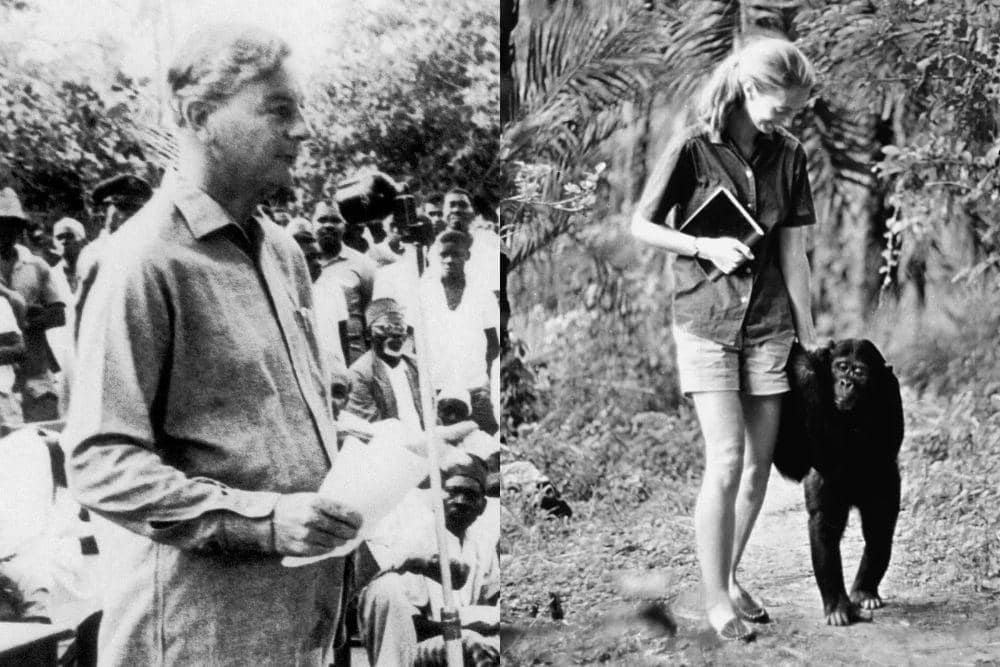 Kisah Cinta Jane Goodall