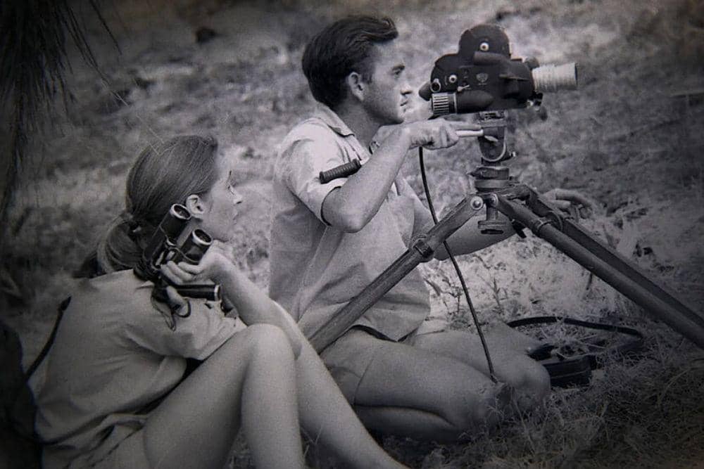 Kisah Cinta Jane Goodall