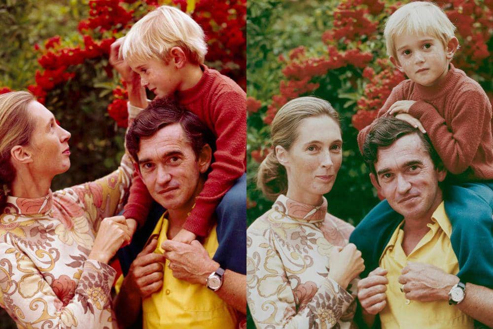 Kisah Cinta Jane Goodall