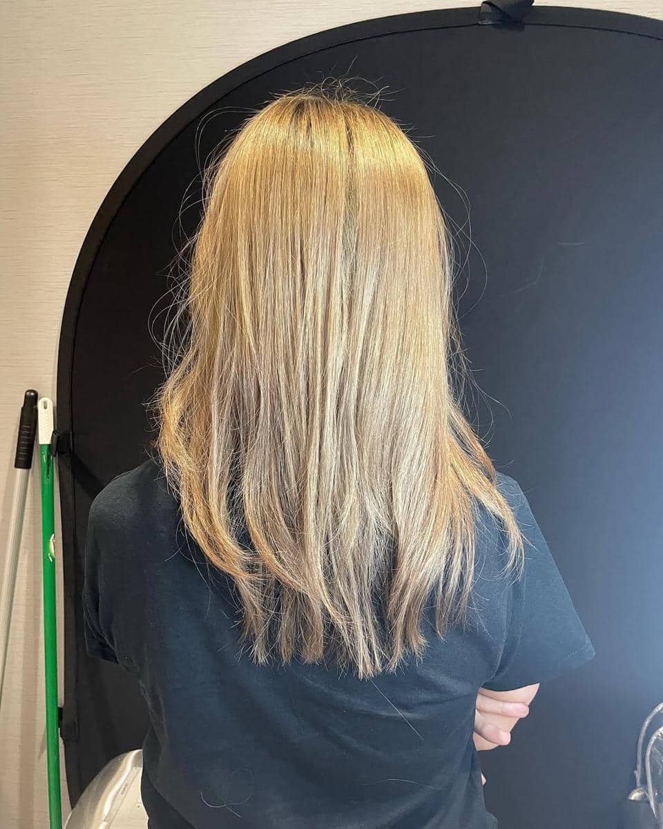 warna rambut ash blonde