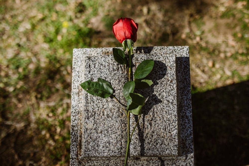 ilustrasi bunga di makam (pexels.com/RDNE Stock project)
