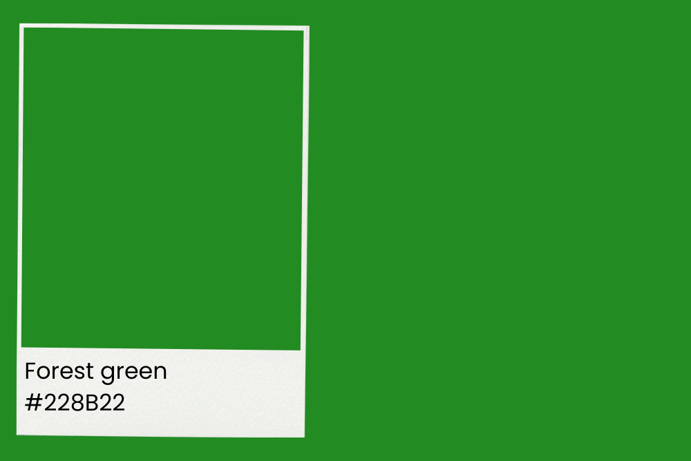 Forest green #228B22