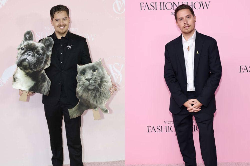 Dukungan Dylan Sprouse untuk Barbara Palvin 