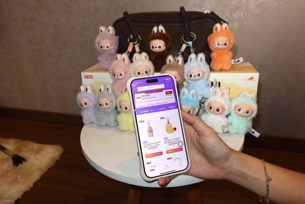 Koleksi Labubu Pin For Love V4 milik Regina 2.JPG