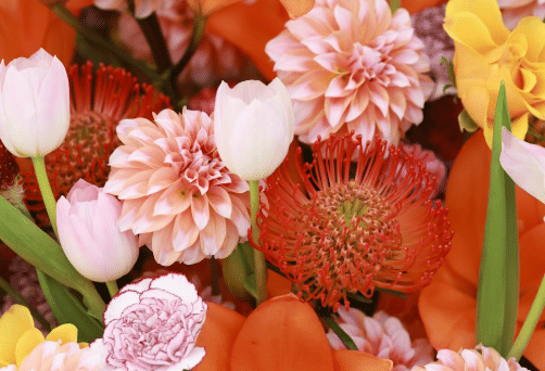 Middle notes parfum Bombshell Victoria's Secret