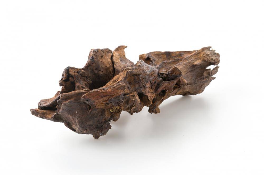 Ilustrasi black musk