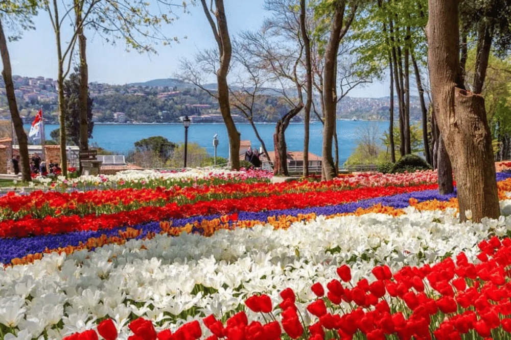 istanbul.polonezkoy.biz